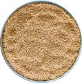 The Birds Company Foxtail Millet (Kangni), Bird Food for All Life Stages Canary, Finches, Waxbills, Budgies, Lovebirds, Cockatiels, Parrots & Parakeets, 500 grams pack. 