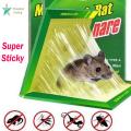 Super Mouse Trap Glue Sheet Rat killer - Strong - Easy to Set - Indoor and Outdoor - Sticky Mouse Pad Trapper Foldable Cardboard - Professional Mouse Trap Book. 