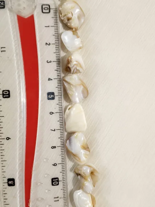 7pcs%20Natural%20Irregular%20Smooth%20Shape%20Mother%20of%20Pearl%20Sea%20Shell%20Beads%20for%20Crafting%20-%20DIY%20Crafting%20Elegant%20Jewelry%20Making%20Supplies%20-%20Image%202