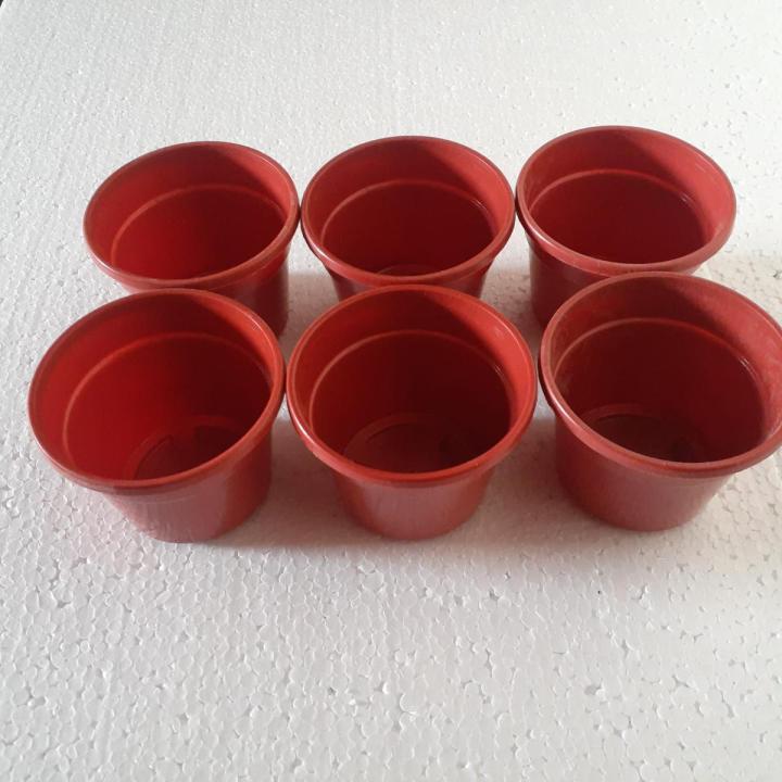 Small red planter pot, best for seedling with cocopeat, Mini Plastic Flower Pot Planters for Succulents and cactus