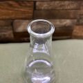 IwakiPyreex - Borosilicate 3.3 Graduated Conical Glass Flask for Laboratory 250ml. 