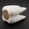 Tooth Shape White Ceramic Flower Pot Modern Design Planter Teeth Model Mini Desktop Pot Creative Gift(without plants). 