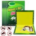 5 x Mouse & Rat Glue Board trap. 