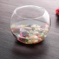 15cm Round Clear Glass Vase Fish Tank Ball Bowl Flower Planter Terrarium Home Decor Transparent color - 15cm. 