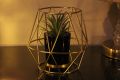 Modern Decorative Porcelain Flower Vase Metal Cage with Artificial Plant. 
