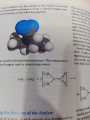 Fundamentals of Analytical Chemistry, Ninth Edition, Douglas A. Skoog, Donald M. West, F. James Holler, Stanley R. Crouch.. 