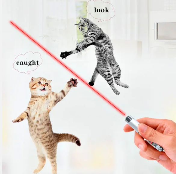 Cat toy mini red laser pointer laser light cat dog interactive training
