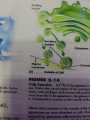 Zoology 5th Edition By Miller and Harley. 