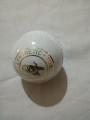 Practice Cricket Hard Ball (Synthetic) White. 