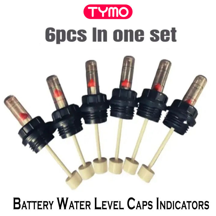 TYMO Brand New 6 Pcs Water Level Indicator Battery Caps for 100 to Tubular battery Lead Acid (M28, 84mm)