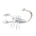 Lizard Horror Bat Party Mouse Home Animal Skeleton Artificial skull Trick Props Plastic Bones. 
