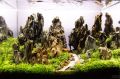 Dragon Stones For Aquarium Scaping 05kg. 
