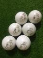 Pack of 6 six Practice Cricket Hard Ball (Synthetic Practice Hard Ball) from Royal Cricket Ball Industries. 