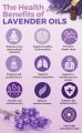 "Lavender Elegance: 100% Pure Therapeutic Grade Essential Oil, Steam Distilled for Unmatched Purity - Vegan and Aromatherapy-Approved for Your Ceramic Diffuser - Pure, Concentrated Bliss in Every Drop (10ml). 