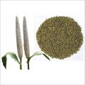 BAJRA SEEDS 500G. 