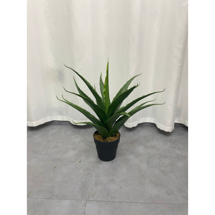 Imported%20artificial%20Yucca%20Plant%20with%20black%20Planter%20-%20Image%208