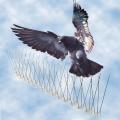 6/12/18 PCS Bird Repeller Anti Birds Anti Pigeon Spike For Get Rid Of Pigeons and Scare Birds Pest Control Bird Repellent Garden Supplies. 