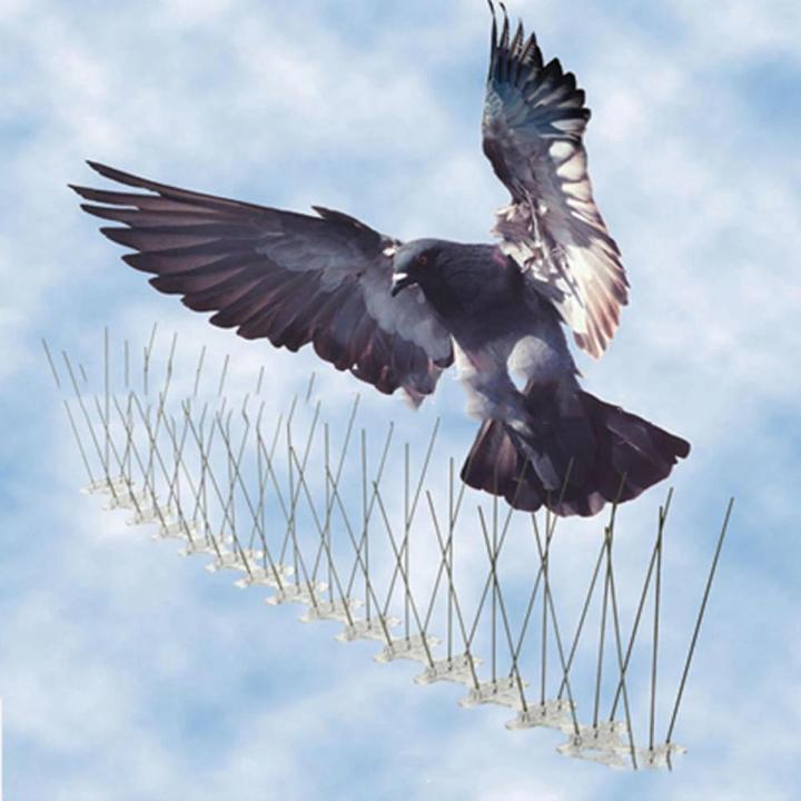 6/12/18 PCS Bird Repeller Anti Birds Anti Pigeon Spike For Get Rid Of Pigeons and Scare Birds Pest Control Bird Repellent Garden Supplies
