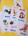 Domestic, Wild & Sea Animals Smart Flash Card. 