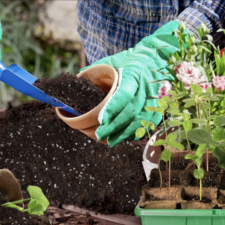 Soilless%20Potting%20Mix%20for%20Seeds%20Starter%20-%20Cocopeat%20,%20Vermi%20compost,%20Perlite%20Pack%20of%201,2,3,5Kg%20-%20Image%205