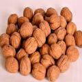 Soft Shell Walnuts (Kaghazi Akhrot ) - 1Kg. 