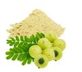 Organic Amla Fruit Powder 200g Organic Amla Fruit Powder 200g Organic Amla Fruit Powder 200g. 