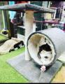 Imported - 2 in 1 Scratching Post For Cats. 