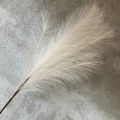1 Pc Synthetic Feather  Pampas Grass Beautiful Soft Floral Arrangement  Plant Boho Decor. 