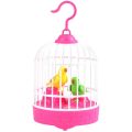 Cute Mini Bird Cage Toy with Moving Birds, Chirps, and Lights – VIP Color Edition. 