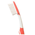 Colorful Handle With Soft Bristles All Rounder Toothbrush Export Quality Best And Smooth Toothbrush. 