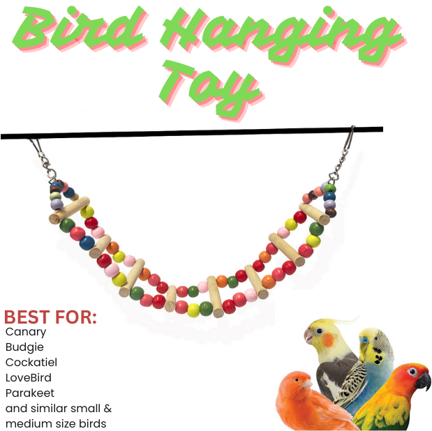 Birds Toy Perch Hanging Swings Bird Ladder Swing Parrot Toy Toy for Love Bird Canary Budgies Cocktaiel Parakeet Small and Medium size birds Daraz.pk