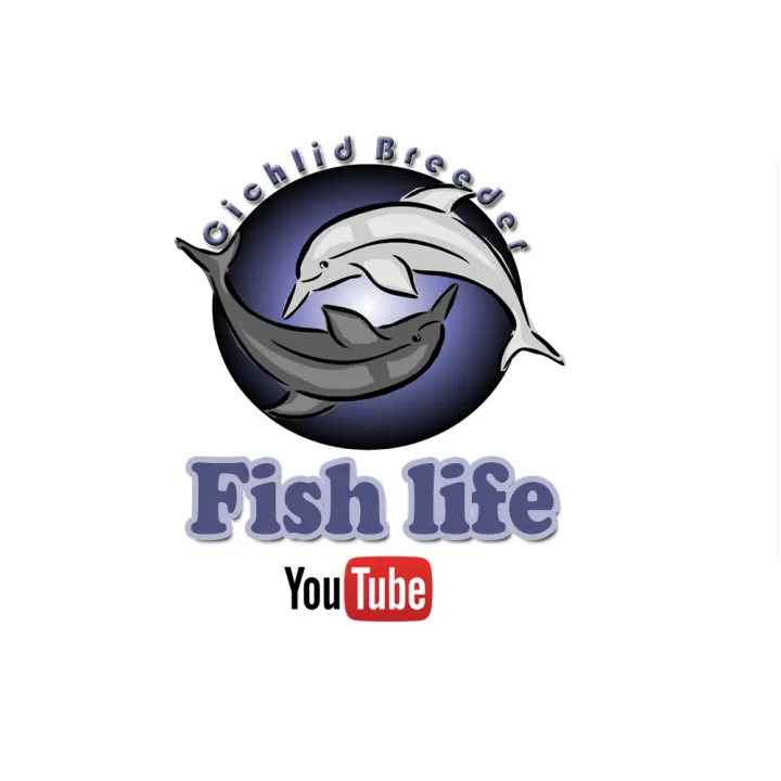 Minjiang%20Fish%20Aquarium%20Water%20Pump%203%20in%201%20NS%20-%20803%20Max%20H%20:%202.5M%20Max%20Flow%20:%202000%20L/H%20Power%20:%2035%20W%20Best%20Power%20head%20For%20Large%20Fish%20tank%20-%20Image%204