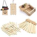 Pack of 50 Large Flat Craft Sticks Ice Cream Sticks Wooden Popsicle Sticks for DIY Craft Creative Designs Children Education (Length - 6 Inches Width - 20 mm). 