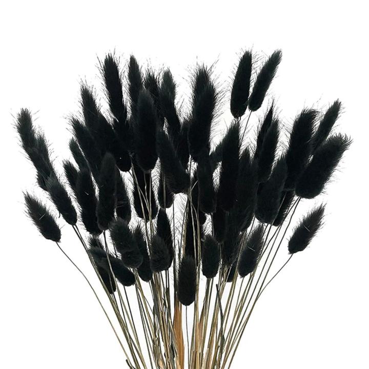 60Pcs Bunny Tails Dried Flowers Ovatus Rabbit Tail Grass for Dried Floral (Black)