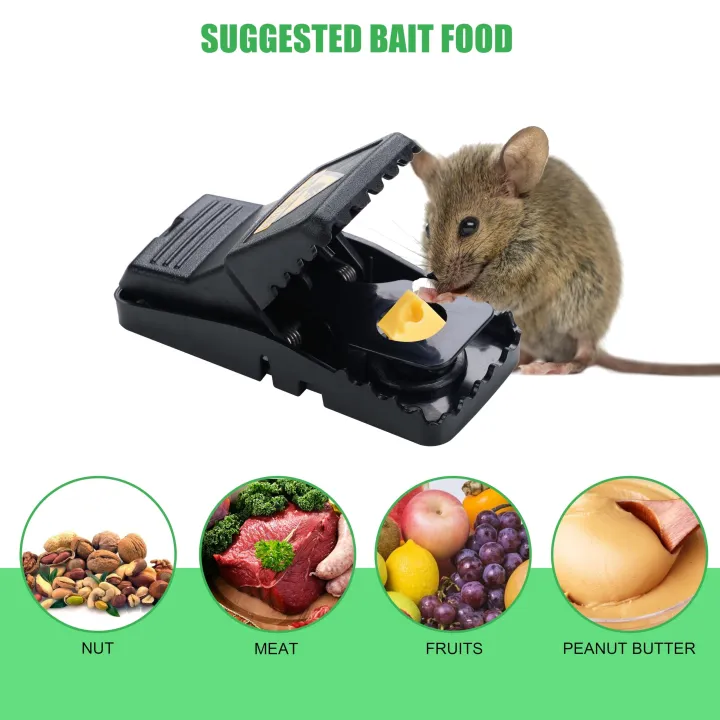 Mouse%20Trap%20Kiriki%20with%20Stainless%20Steel%20Springs%20%7C%20Best%20Quality%20Plastic%20Reusable%20Convenient%20Effective%20Black%20Stainless-Steel%20Springs%20Rat%20Killer%20-%20Image%205