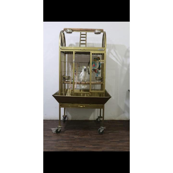 Bird cage/ Parrot Cage