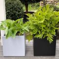 Square Shape Fiberglass Planters, Light Weight Decorative Pots For  Indoor and Outdoor. 
