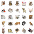 50PCS Cat MEME Funny Animals Stickers Vintage Toy DIY Kids Notebook Luggage Motorcycle Laptop Refrigerator Decals Graffiti. 