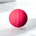 Cricket Swing Ball PU Rubber (156 Garam). 