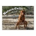 Migeet 2021 Calendar Pooping Pooches Funny Gag Gift Wall Calendar Pooping Dogs Calendary. 