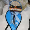 Professional badminton racket. 