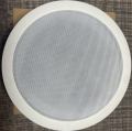Bluetooth Ceiling Speaker Portable No Amplifier Required. 