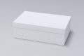 Shoe Box E-Commerce Box Packing White 11 inches x 6 inches x 4 inches 3 Ply Hard Box. 