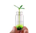 Pack of 2 Message Bottles 8cm. 