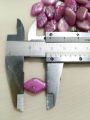 Acrylic Rhombus 17mm Marble Textured Purple Beads for DIY Crafts - Pack of 40gms - Ideal for DIY, Crafting, Jewelry Making, Jewelry, and Dress Accessories.. 