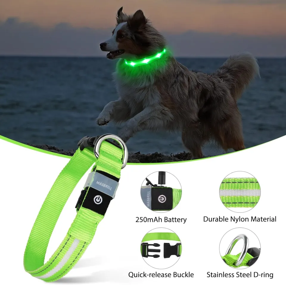 Light up leashes for dogs best sale