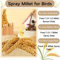 Bird Seed Parakeet Food - 500gm  Vacuum Sealed Millet Treat for Birds Parakeets Natural Sun-Dried Birds Millet for Cockatiel Budgie Finches Parrots. 