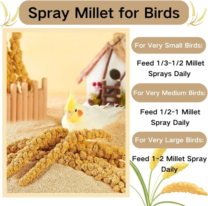 Bird%20Seed%20Parakeet%20Food%20-%20500gm%20%20Vacuum%20Sealed%20Millet%20Treat%20for%20Birds%20Parakeets%20Natural%20Sun-Dried%20Birds%20Millet%20for%20Cockatiel%20Budgie%20Finches%20Parrots%20-%20Image%202