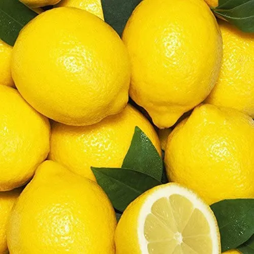 Lemon%20Fertilizer%20for%20Plants%20%E2%80%93%20Boosts%20Flowering%20&%20Fruiting%20%7C%20Balanced%20Citrus%20Feed%20for%20Container%20Lemons,%20Rooftop%20Pots%20&%20Garden%20Trees%20%E2%80%93%20Moji%20Mall%20-%20Image%203