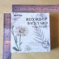 Washi Tapes Box set of 20 Rolls for Journaling , Scrapbooking , book decoration , gift wrapping , DIY craft making. 